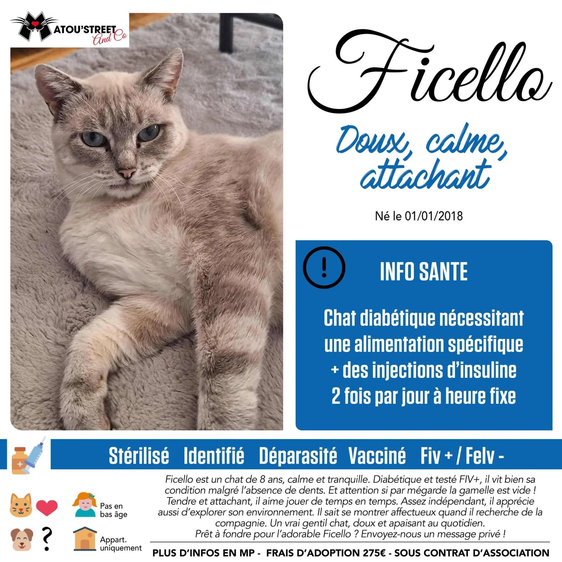 Ficello