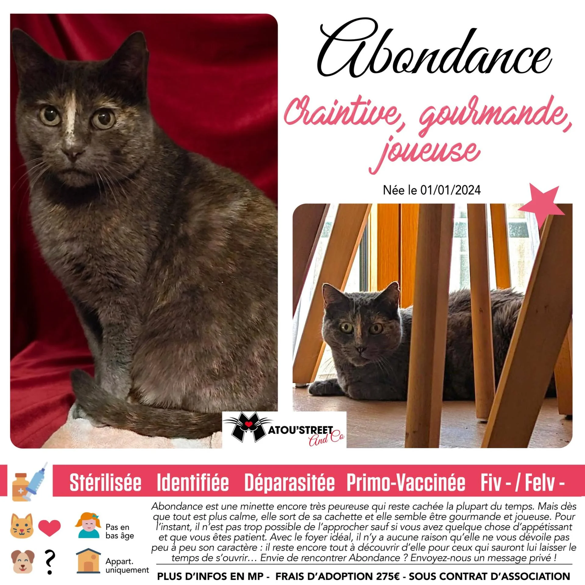Abondance