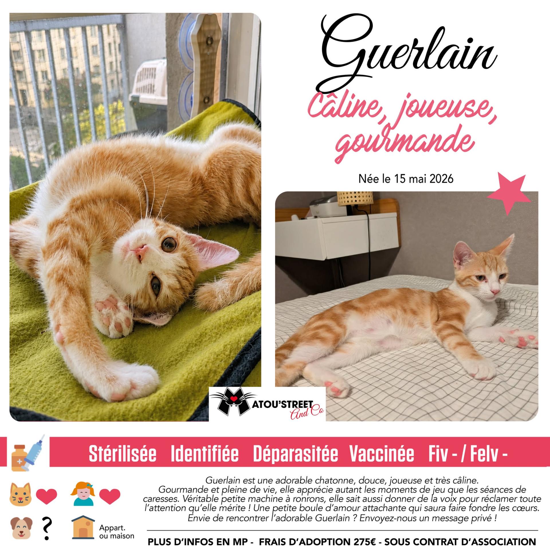 Guerlain