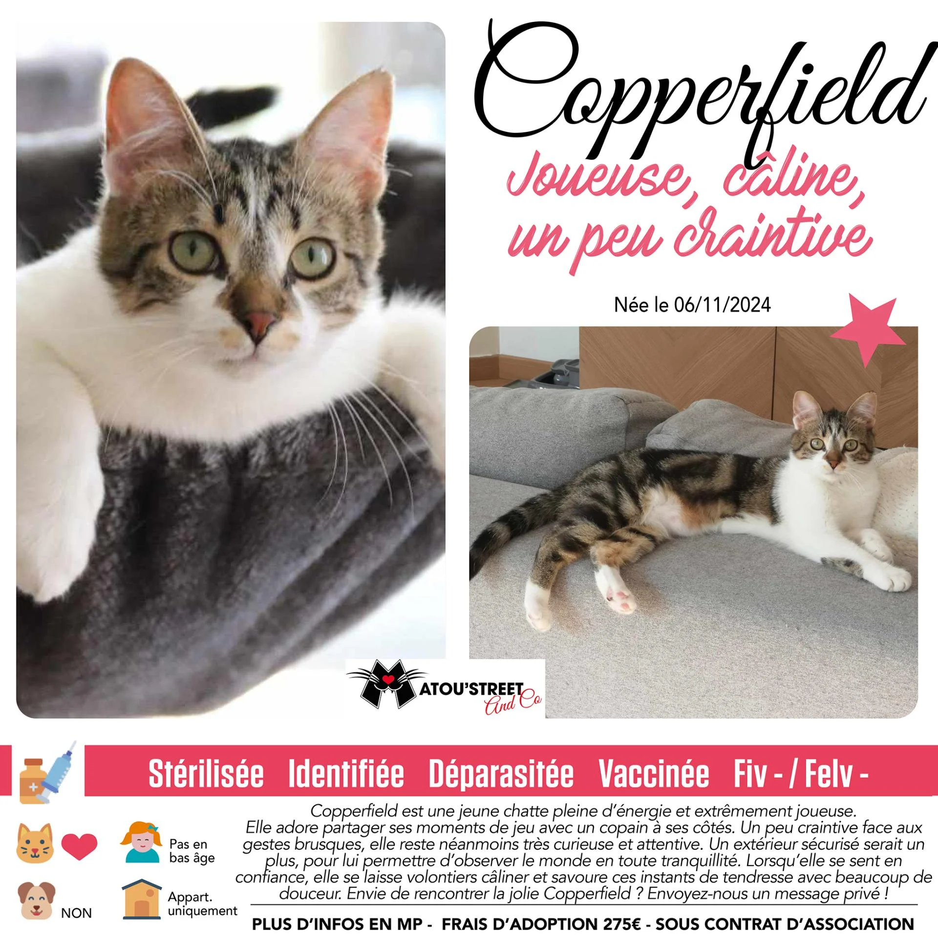 Copperfield2